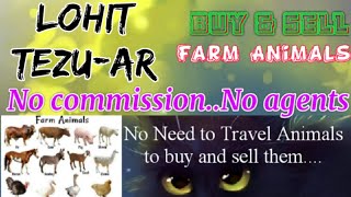 Lohit Tezu :- Buy & Sale Farm Animals ♧ Cow, Buffalo, Sheeps - घर बैठें गाय भैंस खरीदें बेचें..