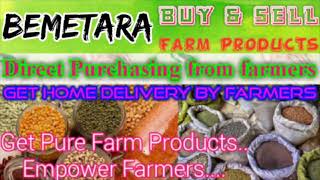 Bemetara :- Buy & Sell Farm Products ♤ Purchase online & Get Home Delivery  by Farmers ♧ Grains