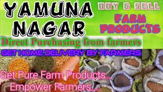 Yamuna nagar :- Buy & Sell Farm Products ♤ Purchase online & Get Home Delivery  by Farmers ♧ Grains