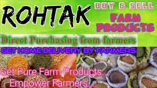 Rohtak :- Buy & Sell Farm Products ♤ Purchase online & Get Home Delivery  by Farmers ♧ Grains