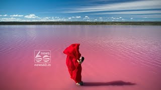 heller lake: pink lake