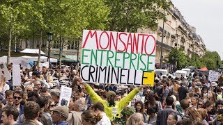 Monsanto to pay 289 million to man, he got cancer from weed killer