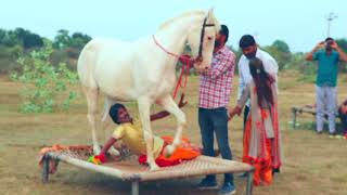 Rajasthani Gurjar Rasiya 2020 | Dj ऊपर नाचे रे | Latest HD Video Song 2020 | Maina