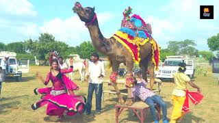 Rajasthani Gurjar Rasiya 2020 | हीरो राजा आयो | Dj Rasiya Video Song 2020 | Maina