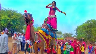 New Marwadi Dj Song | नाचे नखराड़ी जाटनी | Latest Rajasthani HD Video Song 2020