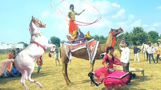 New Dj Rasiya || ससुर सुनेंगे कच्छु ना कहेंगे  || Latest Rajasthani Song 2020