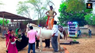 Dj बाजे रे | New Marwadi Dj Video Song 2020 | New Rajasthani Song 2020