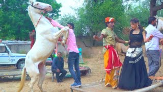 New Dj Rasiya 2020 || अगर मगर मत बोल - Agar Magar Mat Bol || Latest Rajasthani Song 2020