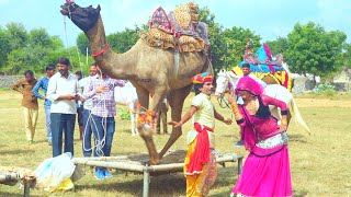 Superhit Marwadi Dj Song | ले नाच म्हारी गोरी | Latest Rajasthani Video Song 2020 | Maina