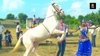 Rajasthani Dj Wedding Song 2020 | देवरिया की शादी में  | Latest Rajasthani Song 2020 | Maina
