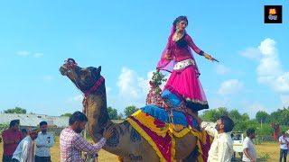 New Dj Rasiya | ऊँचे भीत गिरायो | Desi Dance Video | New Rajasthani Rasiya Dj Song 2020 | Maina