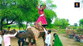 शादी में सबसे ज्यादा बजने वाला गाना | Dj Wala Gaana | Desi Rasiya Song | Latest Rajasthani Song 2020