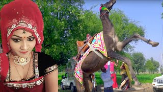 New Dj Rasiya || अगर मगर मत बोल - Agar Magar Mat Bol || Latest Rajasthani Song 2020