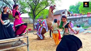 New Dj Rasiya || बरांडा में कैसे घुसियायो मेरे यार || Latest Rajasthani Song 2020