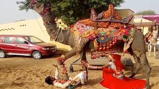 New Dj Rasiya 2021 | राजा ससरिया में ले जा | Latest Rajasthani Song | Maina