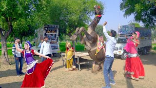 Rajasthani Gurjar Rasiya 2021 | Dj ऊपर नाचे रे | Latest HD Video Song 2021 |  Maina