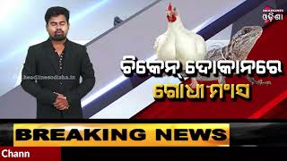 Monitor lizard meat seized from chicken center in bhubaneswar#Headlines