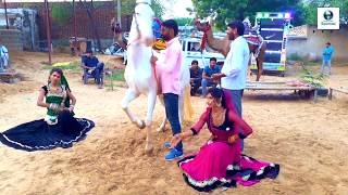 New Dj Rasiya || मेरी एड़ी की धमक   Meri Adi Ki dhamak || Vid Evolution Rajasthani