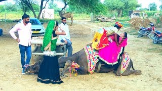टपके पसीना गालन पे | Latest Rajasthani Dj Song