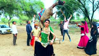 चौधरी घोड़ी चढ़ आयो | Latest Rajasthani Video Song
