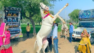 नाच ले Dj पर | Latest Rajasthani Video