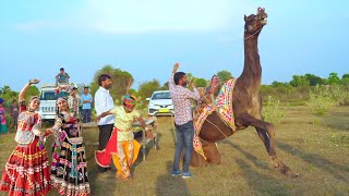 New Dj Rasiya Video Song || डिस्को बीबी लायो   Disko Bibi Layo || Vid Evolution Rajasthani
