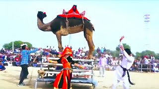 Superhit Rasiya || ढोल सासरिया में ले जा || Desi Dance || Latest Rajasthani Dj Song