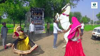 New Rajasthani Dj Song | नाच ले Dj पर | Latest Rajasthani Video | Vid Evolution Rajasthani