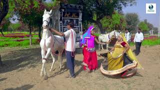 Rajasthani Video Song | ट्रेक्टर मंगाई दे रंग रसिया | Latest Dj Rasiya Video Song