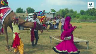 New Dj Rasiya || ना जाने मेरी मईया री || New HD Video Song | Vid Evolution Rajasthani