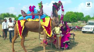 New Dj Rasiya | तू ही ले जा गुजर के | Tu Hi Le Ja Gujar Ke | Latest Rajasthani Dj Song