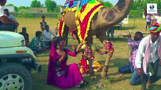 New Dj Rasiya | अगर मगर मत बोल | Latest Rajasthani Song | Vid Evolution Rajasthani