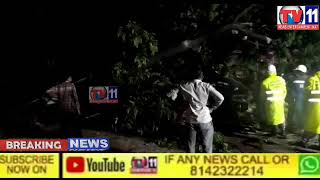 HEAVY RAIN A LARGE TREE THAT FELL DOWN DUE TO LOCKDOWN ALL ARE SAFE IN OLD  BOWENPALLY AREA