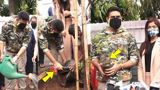 Abhishek Bachchan Adopt a fallen tree that got uprooted because of Cyclone Tauktae