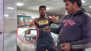 FOUND BIG FAT RAT IN MY CAR | 50 Hazar ka nuksan kardiya ????