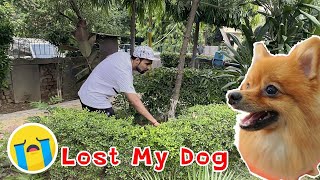 We LOST Our DOG "Dollar" (He Ran Away!) ????