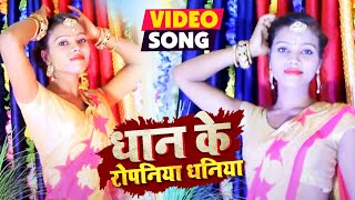 Video -#धान के रोपनिया धनिया -#Dhan Ke Ropaniya Dhaniya -#Rajan Jaction Superhit Dance 2021