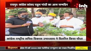 Chhattisgarh News || Congress MP Rahul Gandhi Birthday, MLA Vikas Upadhyay ने वितरित किया पौधा