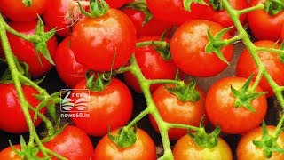 Tomato rate decreases