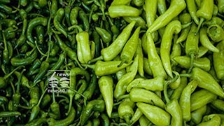 Green chilli good for weight loss