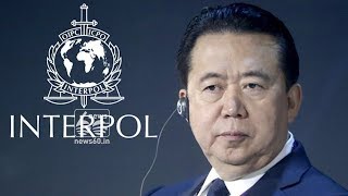 New head is appointed to interpol