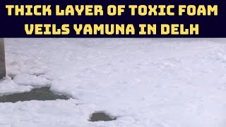 Thick Layer Of Toxic Foam Veils Yamuna In Delhi | Catch News