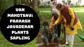 Van Mahotsav: Prakash Javadekar Plants Sapling In Delhi | Catch News