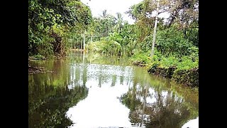 Access road to Kongare -Bhati village submerges underwater,MLA Gaonkar promises to build new culvert