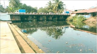 Another inspection of Mapusa's Tar River!