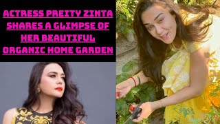 Actress Preity Zinta Shares A Glimpse Of Her Beautiful Organic Home Garden | Catch News