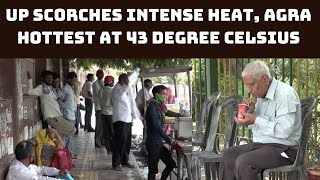 UP Scorches Intense Heat, Agra Hottest At 43 Degree Celsius | Catch News