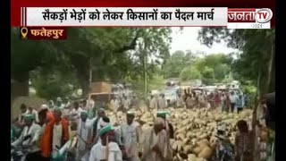 गेहूं खरीद के भुगतान को लेकर किसानों का मार्च,BJPमंत्री की फिसली जुबान,देखिए उत्तर प्रदेश से जुड़ी..