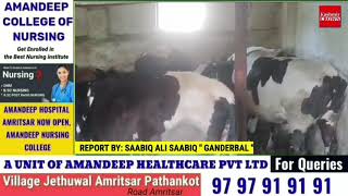 Govt did not provide any facilities at the dairy farm set up by a young man in Baba Daryao Din