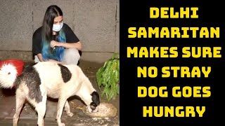 Delhi Samaritan Makes Sure No Stray Dog Goes Hungry | Catch News